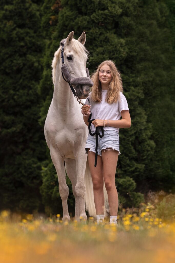 horse photograph of connemara pony outdoors in Kent