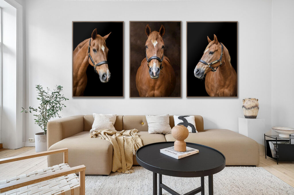 wall art photograph of horse portraits in sussex