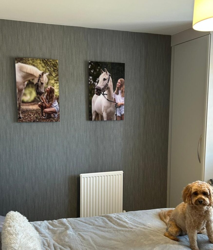 acrylic wall art on display in a home of a girl and her horse.