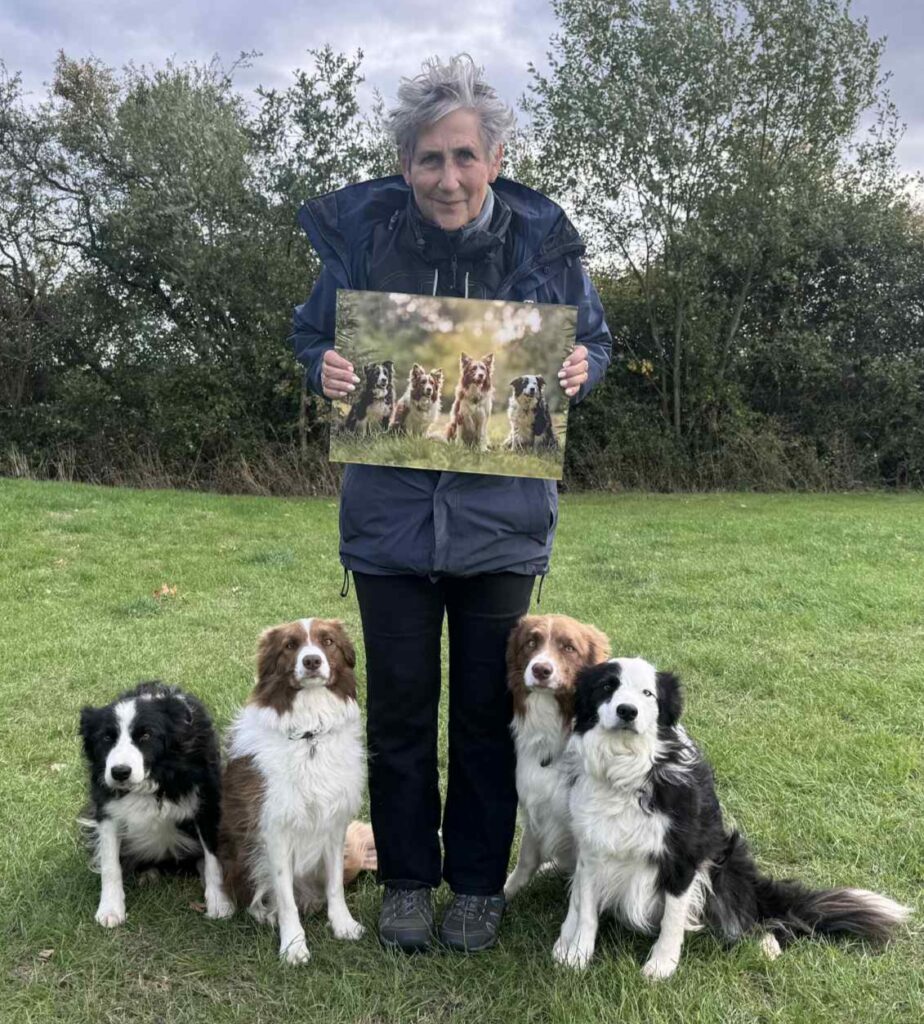 lady holding her acrylic photography artwork with her 4 border collies