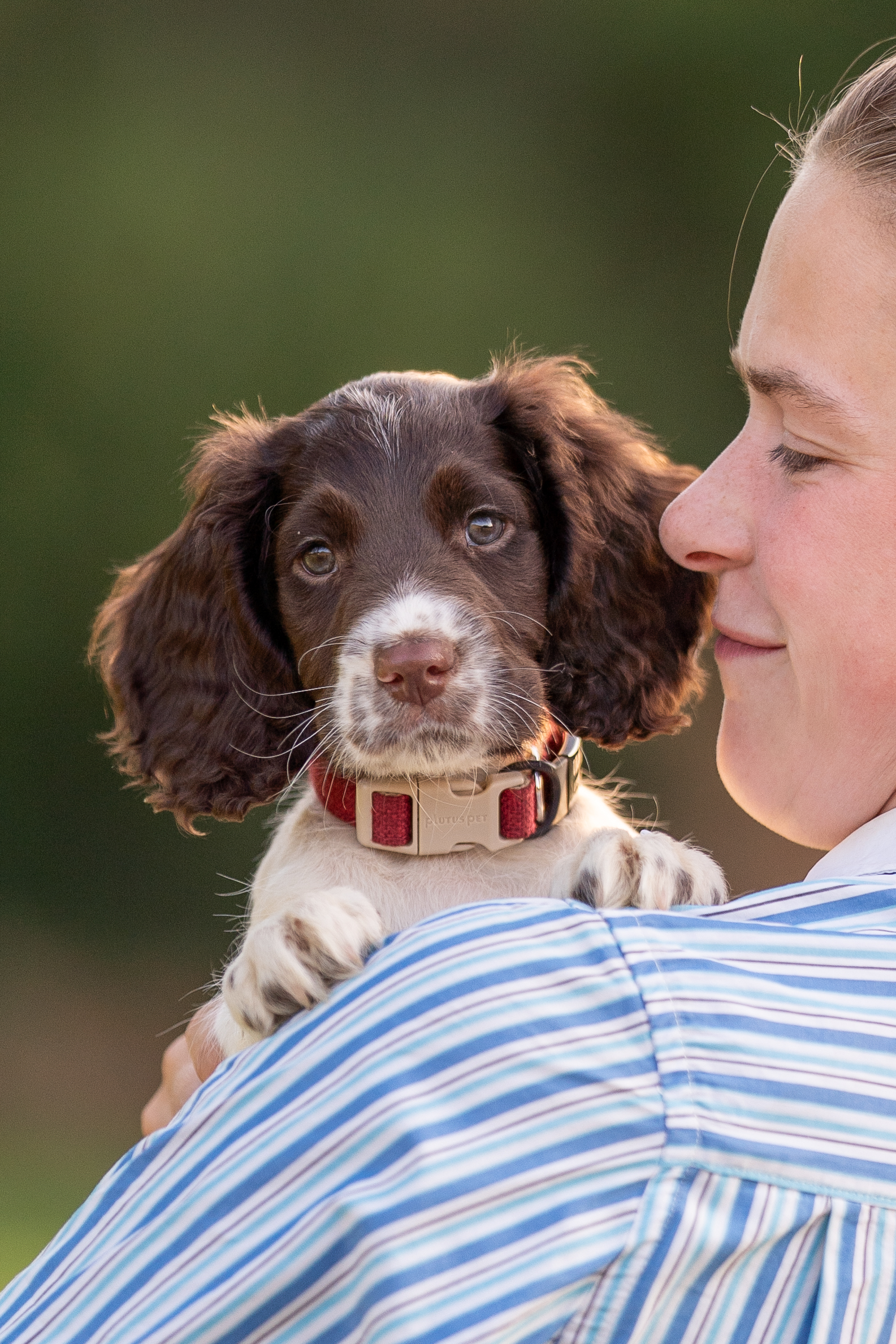 woman looking to puppy. puppy looking over womans shoulder for a dog photoshoot in sussex
